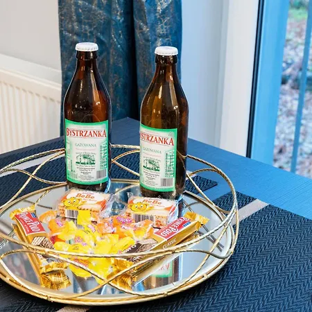 Wygodny Postoj Z Parkingiem Апартаменты Бельско-Бяла