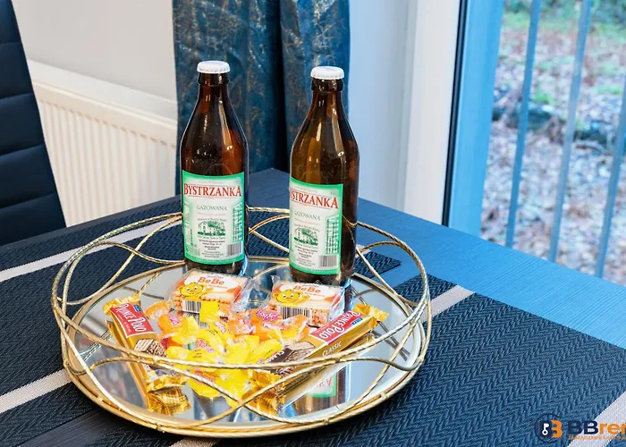 W Centrum Z Parkingiem Młyńska 16 Apartament Bielsko-Biała